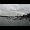 IMG_6711
3/21/2007 2:51:04 PM